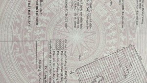 Bán nhà 271/1C An Dương Vương Phường 1 Quận 5