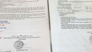 Bán nhà 259 Trần Phú Phường 8 Quận 5