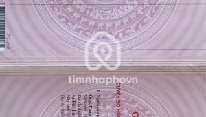 Bán nhà 331 Hồng Bàng Phường 11 Quận 5