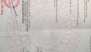 Bán nhà 2025-05-03 00:00:00 Lý Chiêu Hoàng Phường 10 Quận 6