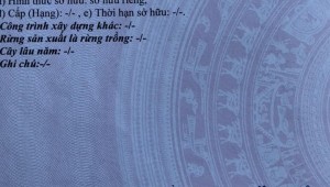 Bán nhà 15 Số 51 Bình Thuận Quận 7