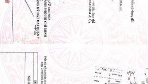 Bán nhà 19B Phạm Hữu Lầu Phú Mỹ Quận 7