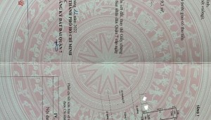 Bán nhà C48 D1 Phú Mỹ Quận 7