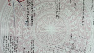 Bán nhà 1247/7/3 Huỳnh Tấn Phát Phú Thuận Quận 7