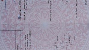 Bán nhà 160/91/48/12 Nguyễn Văn Quỳ Phú Thuận Quận 7