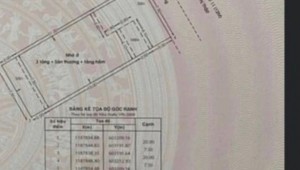 Bán nhà 25 Số 11 Tân Hưng Quận 7