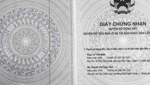 Bán nhà Thửa: 542Tờ: 64 Trần Xuân Soạn Tân Hưng Quận 7