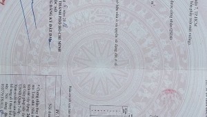 Bán nhà 301/9/6 Trần Xuân Soạn Tân Kiểng Quận 7
