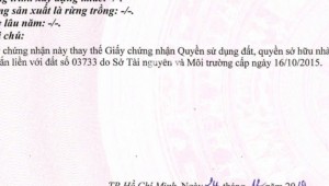 Bán nhà 44A Lâm Văn Bền Tân Kiểng Quận 7