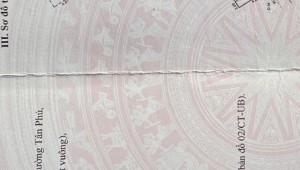 Bán nhà 446-448 Tân Phú Tân Phú Quận 7