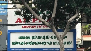 Bán nhà 135 Nguyễn Thị Thập Tân Phú Quận 7