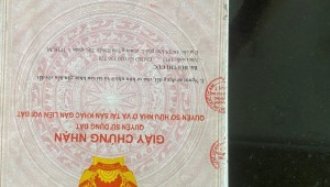 Bán nhà 270/23c Huỳnh Tấn Phát Tân Thuận Tây Quận 7
