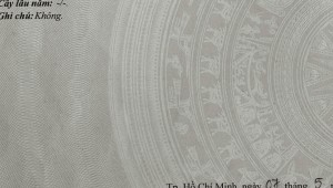 Bán nhà 181/54 Âu Dương Lân Phường 2 Quận 8