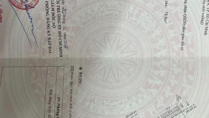 Bán nhà 139/50 Phạm Thế Hiển Phường 3 Quận 8