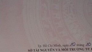 Bán nhà 2695/21 Phạm Thế Hiển Phường 7 Quận 8