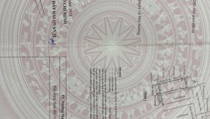 Bán nhà 269/20/21 Vĩnh Viễn Phường 5 Quận 10