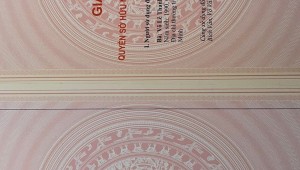 Bán nhà 352Thửa: 95Tờ: 6 Nhật Tảo Phường 6 Quận 10