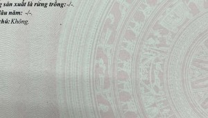 Bán nhà 384/40/4 Lý Thái Tổ Phường 10 Quận 10