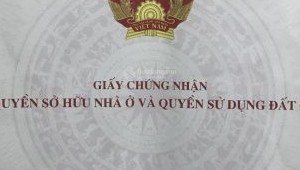 Bán nhà 424 Lý Thái Tổ Phường 10 Quận 10