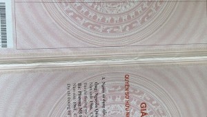 Bán nhà 134/2 Thành Thái Phường 12 Quận 10
