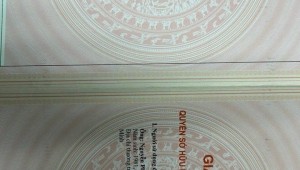 Bán nhà 54-56 Hoàng Dư Khương Phường 12 Quận 10