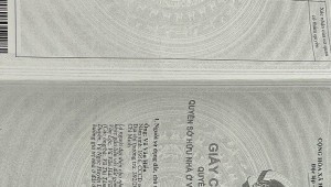 Bán nhà 392/20/70 Cao Thắng Phường 12 Quận 10