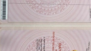 Bán nhà 374 Cao Thắng Phường 12 Quận 10