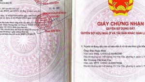 Bán nhà 283/1-283/3-283/5-283/7 Cách Mạng Tháng Tám Phường 12 Quận 10
