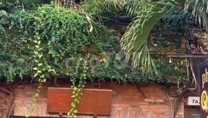 Bán nhà 7A/52 Thành Thái Phường 14 Quận 10