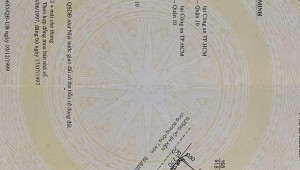 Bán nhà 66 Hồ Bá Kiện Phường 15 Quận 10