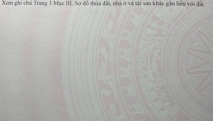 Bán nhà 66 Tân Hóa Phường 1 Quận 11