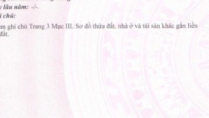 Bán nhà 616 Hồng Bàng Phường 11 Quận 11
