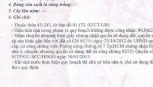 Bán nhà 17Thửa: 30Tờ: 202005 Số 7 An Lạc A Quận Bình Tân