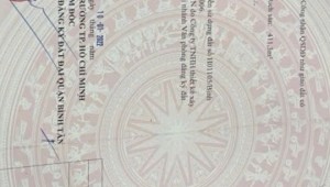 Bán nhà 688 Tân Kỳ Tân Quý Bình Hưng Hòa Quận Bình Tân