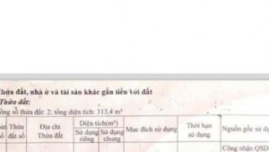 Bán nhà 557/14Thửa: 426Tờ: 75 Hương Lộ 3 Bình Hưng Hòa Quận Bình Tân