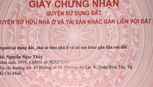 Bán nhà 101 Số 16 Bình Trị Đông B Quận Bình Tân