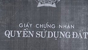 Bán nhà 27Thửa: 79Tờ: 03 Phó Đức Chính Phường 1 Quận Bình Thạnh