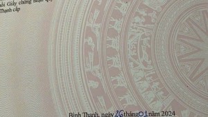 Bán nhà 208/47/52 Bùi Hữu Nghĩa Phường 2 Quận Bình Thạnh