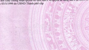 Bán nhà 107 Hoàng Hoa Thám Phường 6 Quận Bình Thạnh