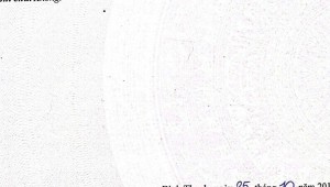 Bán nhà 280 Lê Quang Định Phường 11 Quận Bình Thạnh