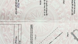 Bán nhà 292/37/15 Bình Lợi Phường 13 Quận Bình Thạnh