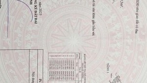 Bán nhà 44Thửa: 7Tờ: 36 Nguyễn Ngọc Phương Phường 19 Quận Bình Thạnh