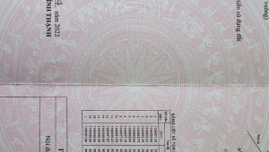 Bán nhà 115 Nguyễn Hữu Cảnh Phường 22 Quận Bình Thạnh