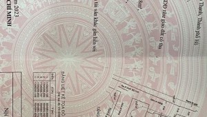 Bán nhà 270/49Thửa: 437Tờ: 13 Đinh Bộ Lĩnh Phường 26 Quận Bình Thạnh