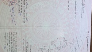 Bán nhà 496/38 Dương Quảng Hàm Phường 6 Quận Gò Vấp