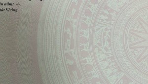 Bán nhà 234/11/19 Lê Đức Thọ Phường 6 Quận Gò Vấp