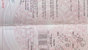 Bán nhà 258QThửa: 561Tờ: 51 Dương Quảng Hàm Phường 5 Quận Gò Vấp