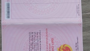 Bán nhà 50/2 Dương Quảng Hàm Phường 5 Quận Gò Vấp