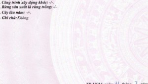Bán nhà 679/24 Quang Trung Phường 10 Quận Gò Vấp