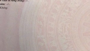 Bán nhà 254-256 Nguyễn Văn Lượng Phường 17 Quận Gò Vấp